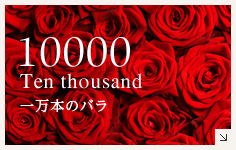 10000 Ten Thousand 1万本のバラ